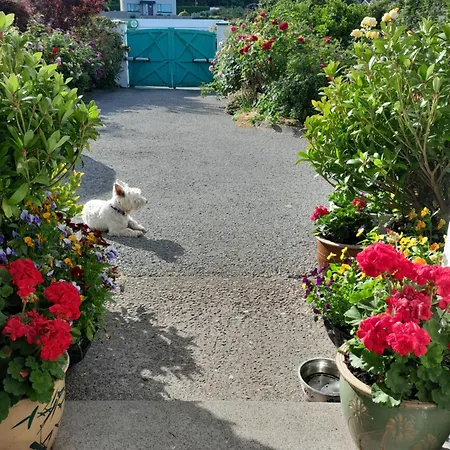 Bed & Breakfast Saint Martin's Bandon